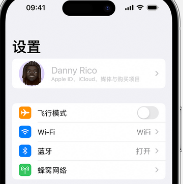 胡场镇appleID维修服务iPhone设置中Apple ID显示为灰色无法使用