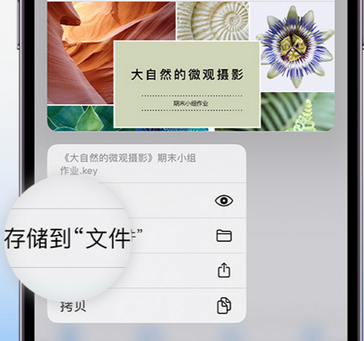 胡场镇apple维修中心分享iPhone文件应用中存储和找到下载文件