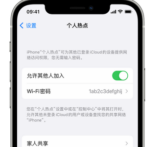 胡场镇apple服务站点分享iPhone上个人热点丢失了怎么办