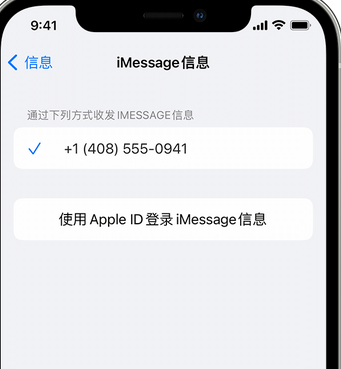 胡场镇apple维修iPhone上无法正常发送iMessage信息 