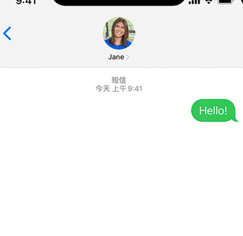 胡场镇apple维修iPhone上无法正常发送iMessage信息