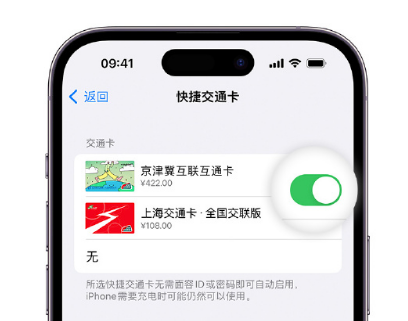 胡场镇apple维修点分享iPhone上更换Apple Pay快捷交通卡手绘卡面 