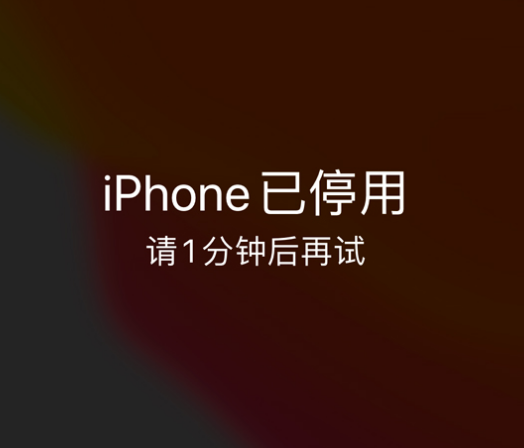 胡场镇苹果手机维修分享:iPhone 显示“不可用”或“已停用”怎么办？还能保留数据吗？ 