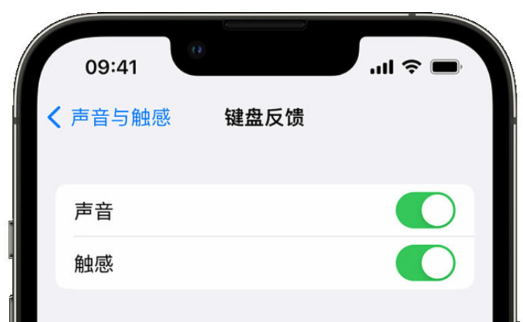 胡场镇苹果手机维修分享iPhone 14触感键盘使用方法 