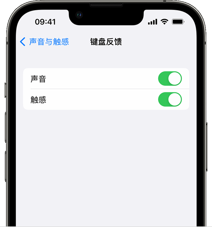 胡场镇苹果14维修店分享如何在 iPhone 14 机型中使用触感键盘 