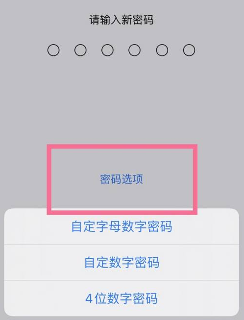 胡场镇苹果14维修分享iPhone 14plus设置密码的方法 