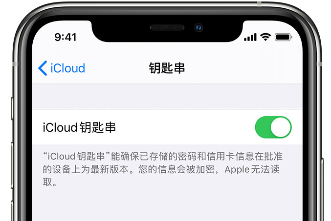 胡场镇苹果手机维修分享在 iPhone 上开启 iCloud 钥匙串之后会储存哪些信息 