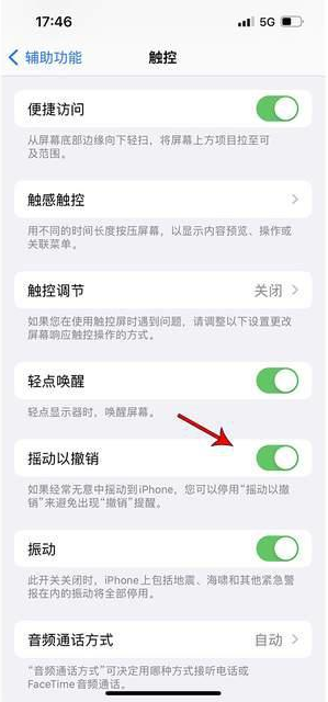 胡场镇苹果手机维修分享iPhone手机如何设置摇一摇删除文字 